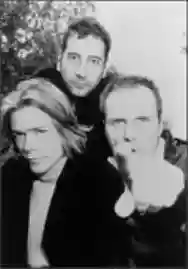 Image ofArnold