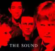 Immagine di The Sounds