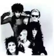 Immagine di Specimen