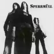 Immagine di Sperrmüll