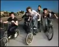 Immagine di Steriogram