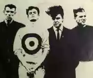 Immagine di The Sting-Rays