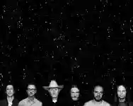 Immagine di Swans