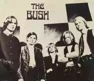 Immagine di The Bush
