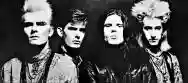 Immagine di The Cult