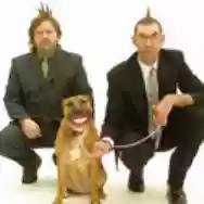 Image ofThe Groove Corporation