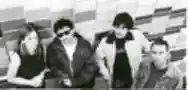 Immagine di The Lightning Seeds