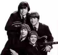 Image ofThe McCoys