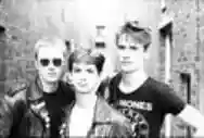 Immagine di The Newtown Neurotics