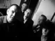Image ofThe Nightingales