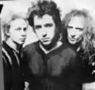 Image ofThe Professionals