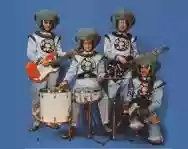 Immagine di The Spotnicks