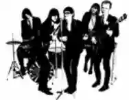 Immagine di The Stomachmouths