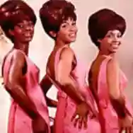 Immagine di The Velvelettes