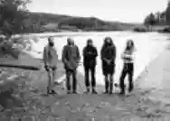 Immagine di Träd, Gräs och Stenar