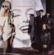 Immagine di Transvision Vamp