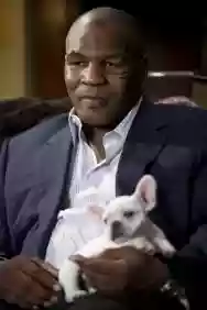 Immagine di Tyson