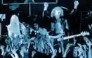 Image ofVardis