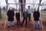 Image ofVolebeats