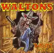 Immagine di The Waltons