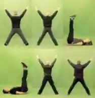 Image ofXXL