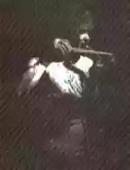 Image ofZorro