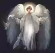 Immagine di Angelo