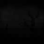Image ofRootscape