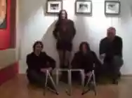 Immagine di Arpia