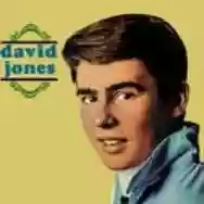 Immagine di David Jones