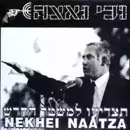Image ofנכי נאצה