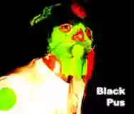 Image ofBlack Pus