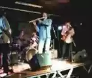 Image ofThe Giant Hogweed Orchestra