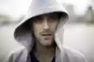 Immagine di Melo