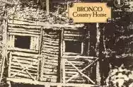 Image ofBronco