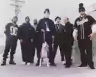Image ofBody Count