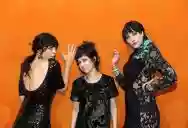 Immagine di The Coathangers