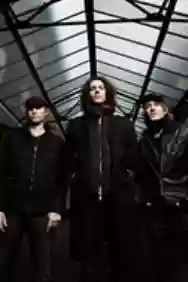 Immagine di Year Long Disaster