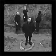 Immagine di Black Noise Cannon