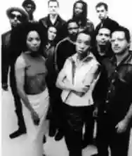 Image ofBrooklyn Funk Essentials