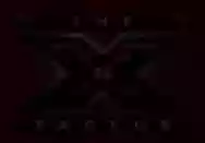 Image ofX Factor