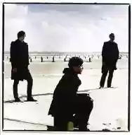Immagine di White Lies