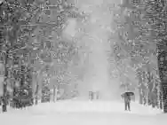 Immagine di Freddo