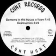 Immagine di Cunt Hunt