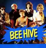 Immagine di Bee Hive
