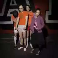 Immagine di Agaskodo Teliverek
