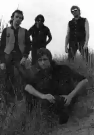 Immagine di Fortunate Sons