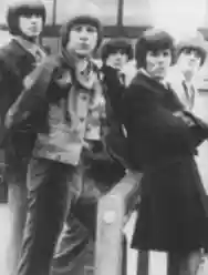 Immagine di Classics IV
