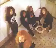Image ofD.A.M.
