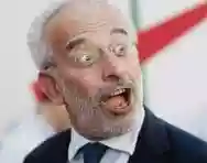 Image ofLerner